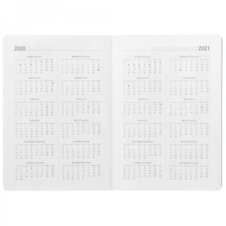 Ежедневник Basis, датированный, оранжевый