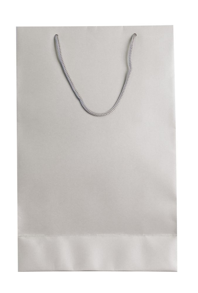 Пакет бумажный «Блеск», средний, серебристый Пакет бумажный «Блеск», средний, серебристый